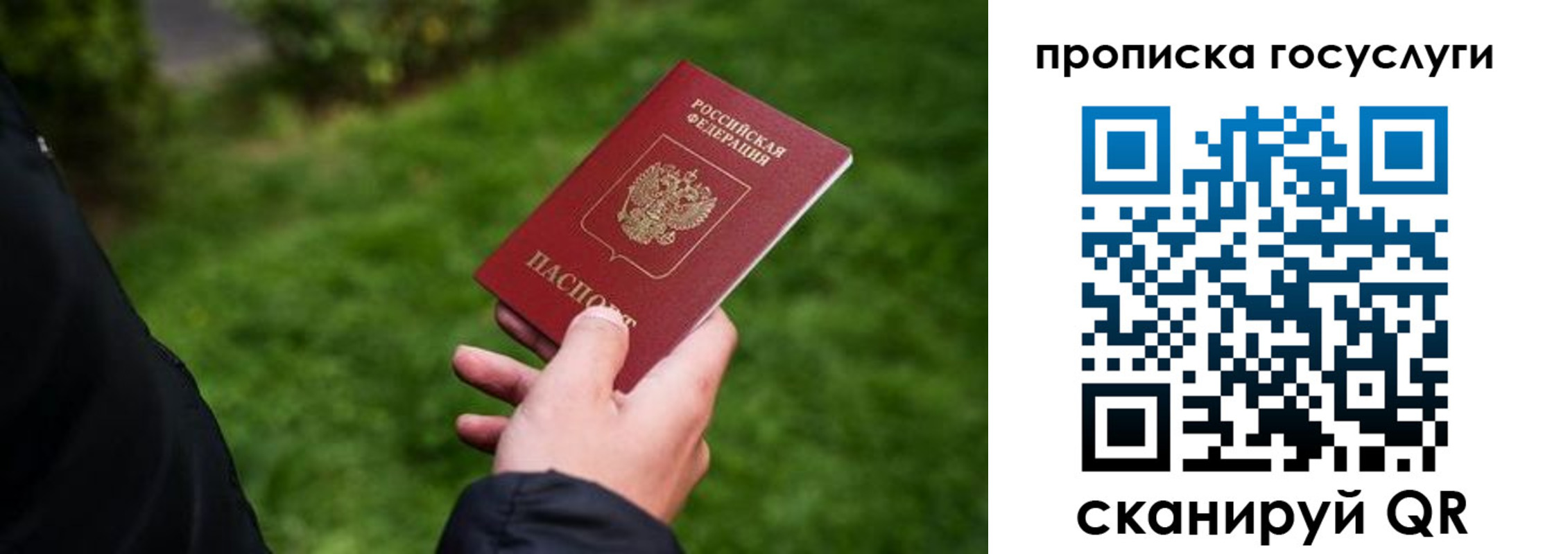 прописка для работы в Михайловске